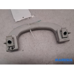 Fiat - 500L - Handle