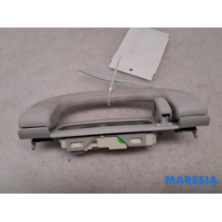 Fiat - 500L - Handle