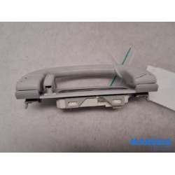 Fiat - 500L - Handle
