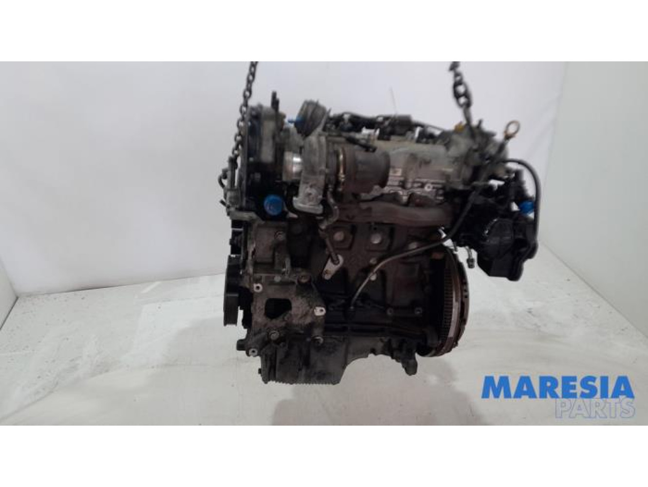 Fiat - Doblo - Engine