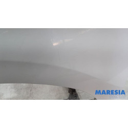 Fiat - Doblo - Front wing, left