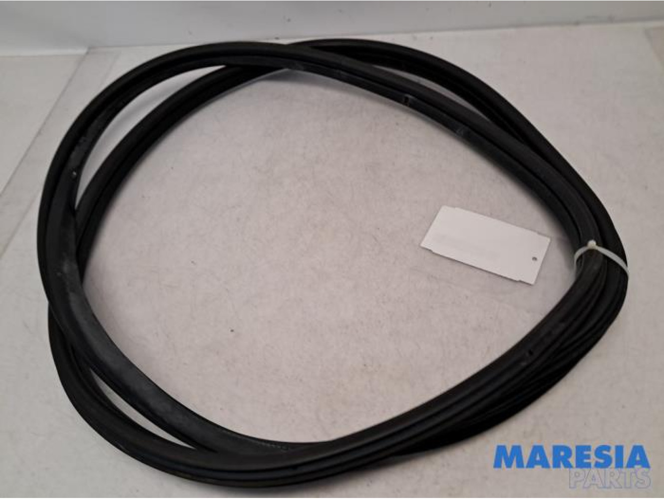 Fiat - 500L - Portierrubber 4Deurs rechts-voor