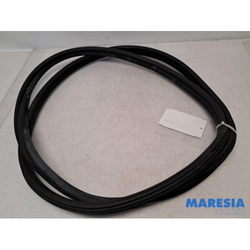 Fiat - 500L - Front door seal 4-door, right