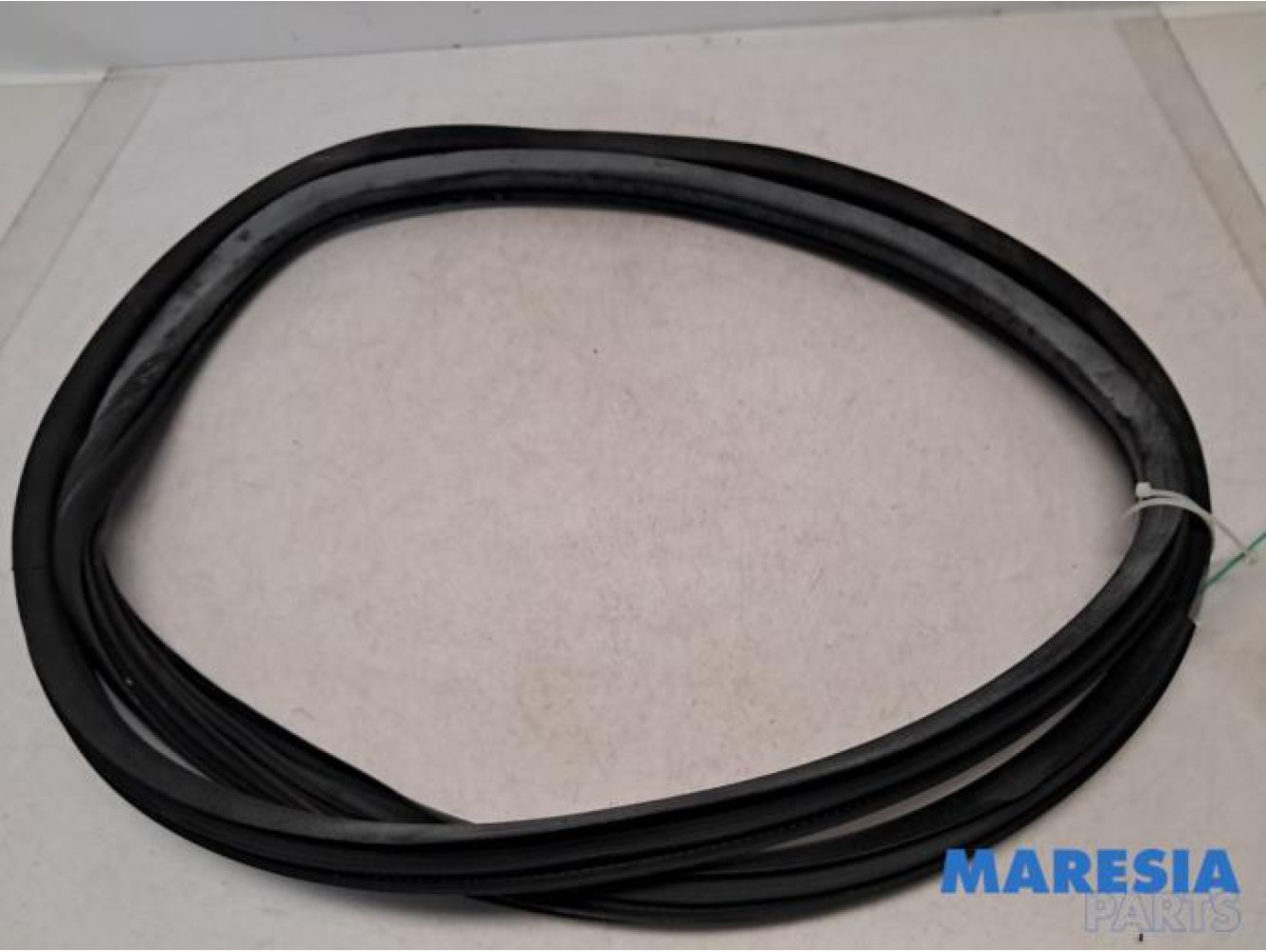 Fiat - 500L - Portierrubber 4Deurs links-achter