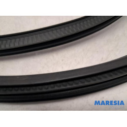 Citroen - C3 - Front door seal 4-door, right