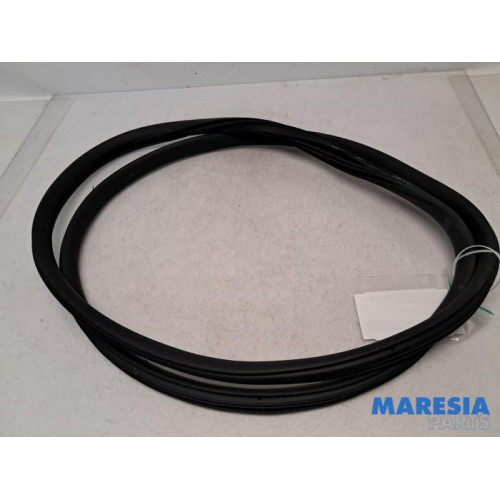 Citroen - C3 - Front door seal 4-door, right