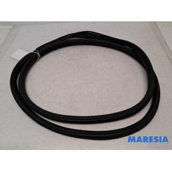 Citroen - C3 - Front door seal 4-door, left