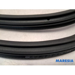 Citroen - C3 - Front door seal 4-door, left