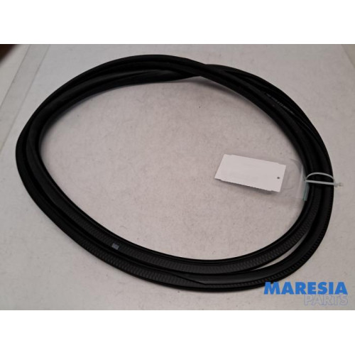 Citroen - C3 - Front door seal 4-door, left