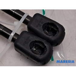 Fiat - 500L - Set of tailgate gas struts