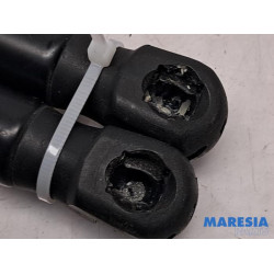 Fiat - 500L - Set of tailgate gas struts