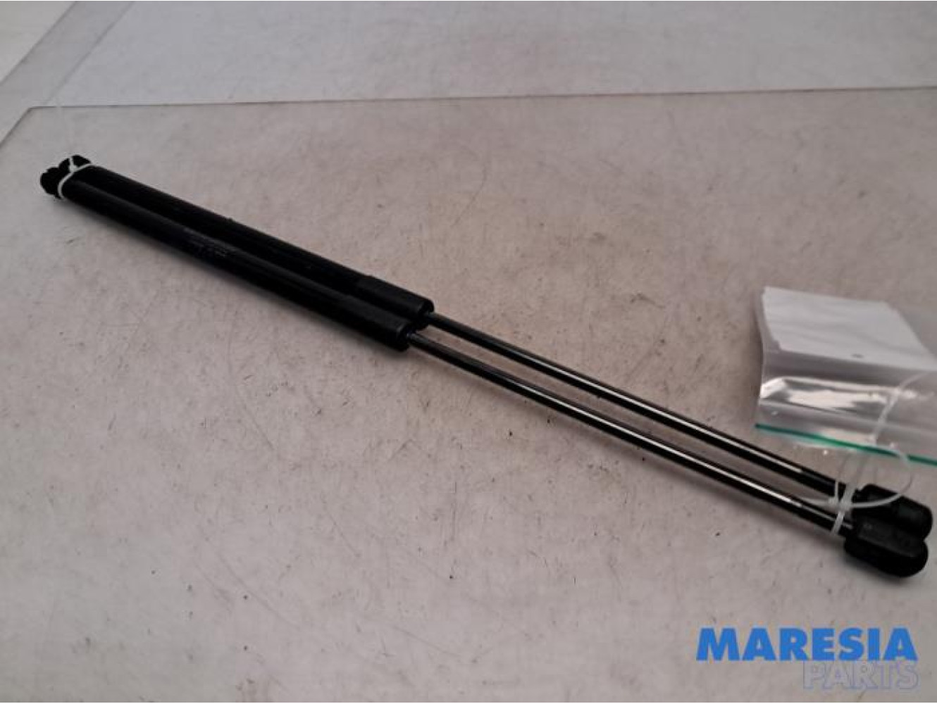 Fiat - 500L - Set of tailgate gas struts