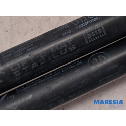 Fiat - 500L - Set of tailgate gas struts