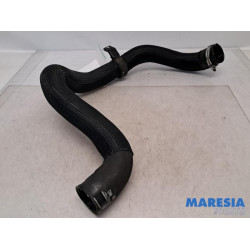 Peugeot - Expert - Intercooler hose