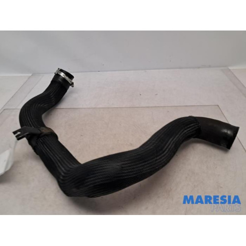 Peugeot - Expert - Intercooler Schlauch