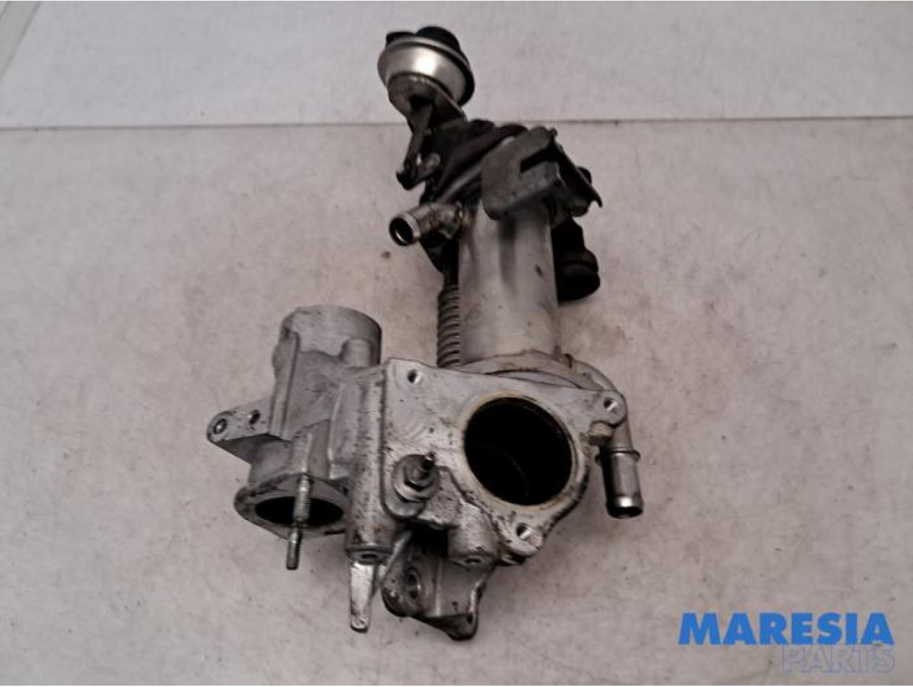 Renault - Megane - EGR valve