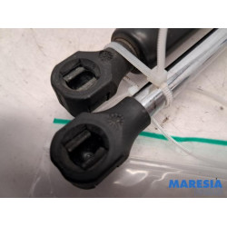 Renault - Espace - Set of tailgate gas struts