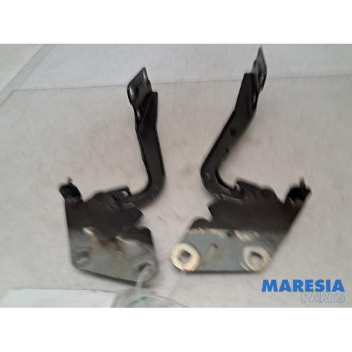 Renault - Megane - Bonnet Hinge