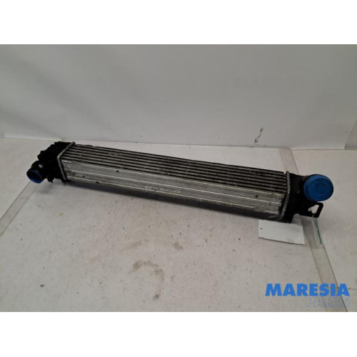 Renault - Megane - Intercooler