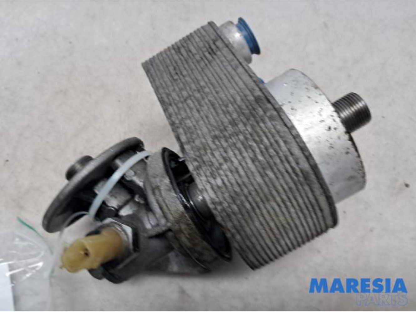 Renault - Megane - Oil filter holder