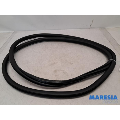 Peugeot - 5008 - Portierrubber 4Deurs links-achter