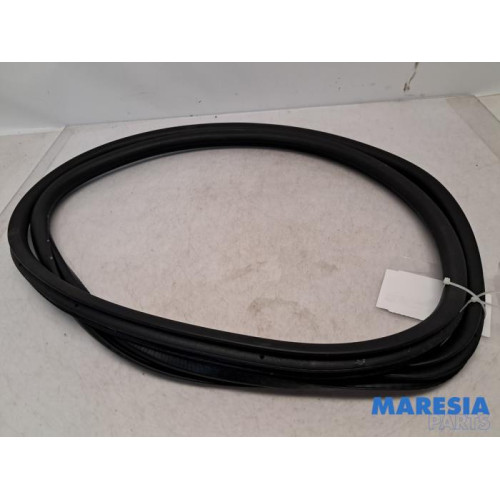 Peugeot - 5008 - Portierrubber 4Deurs rechts-achter