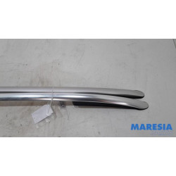 Renault - Clio - Dachreling Set