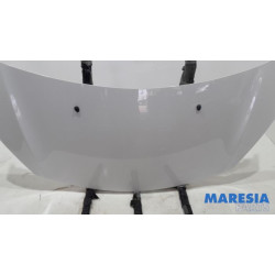 Citroen - DS3 - Bonnet