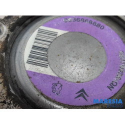 Peugeot - 206 - Lenkkraftverstärker Pumpe