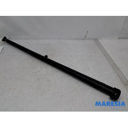Peugeot - 307 - Luggage compartment cover
