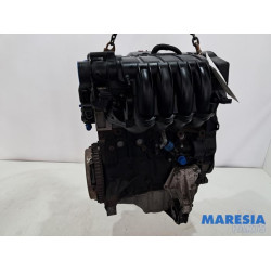 Citroen - Berlingo - Motor
