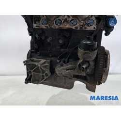 Citroen - Berlingo - Motor