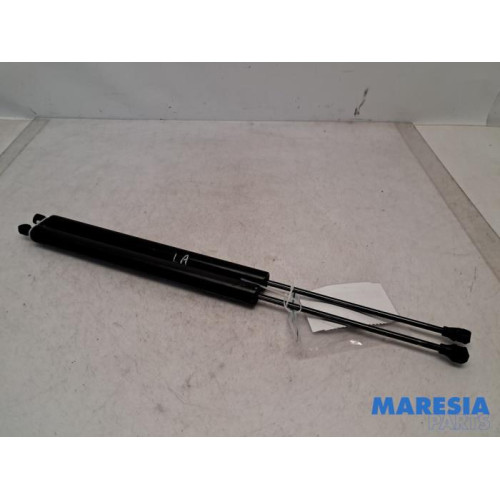 Citroen - Berlingo - Set of tailgate gas struts