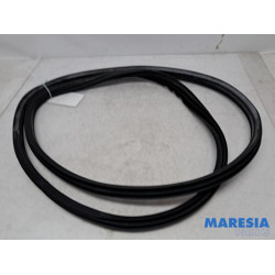 Fiat - 500L - Front door seal 4-door, left