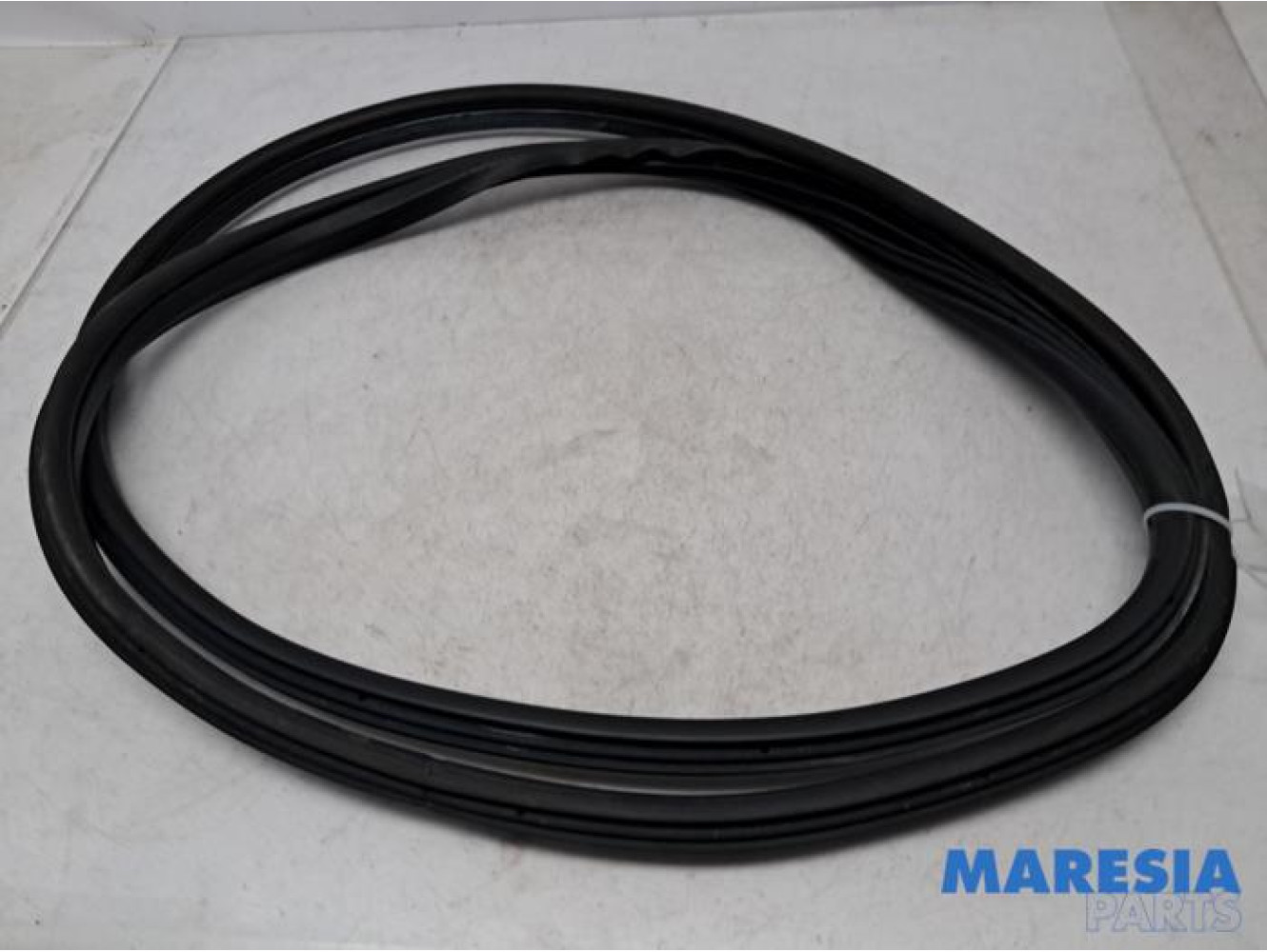 Fiat - 500L - Front door seal 4-door, left