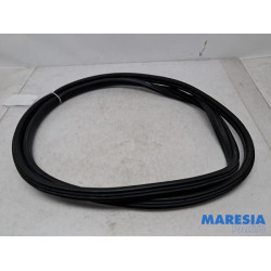 Fiat - 500L - Front door seal 4-door, right