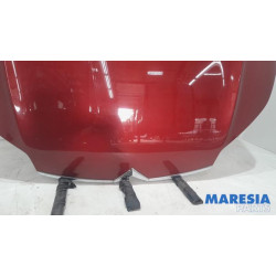 Citroen - C5 - Bonnet