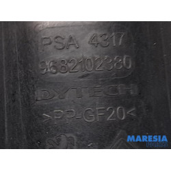 Citroen - DS3 - Carbon filter