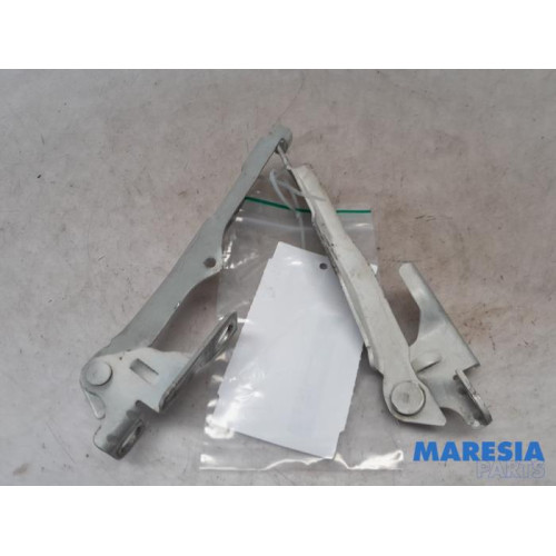 Citroen - DS3 - Bonnet Hinge