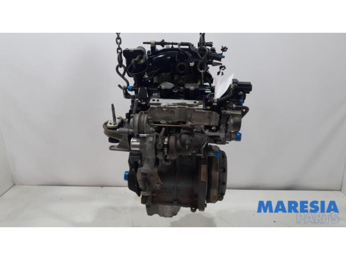 Fiat - 500 - Engine