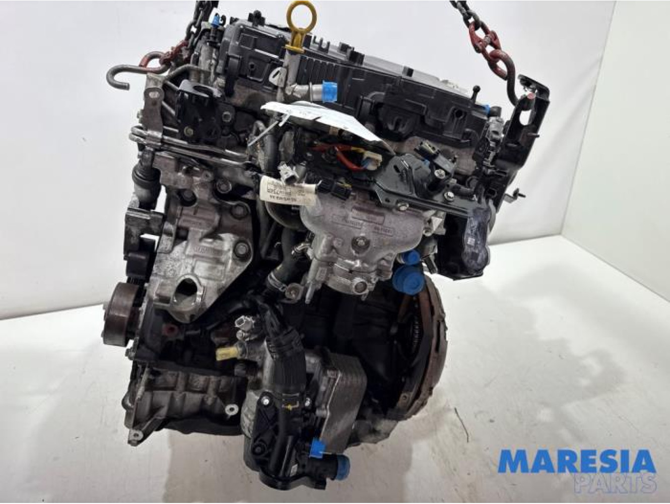 Renault - Trafic - Motor