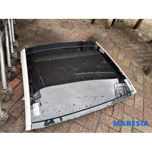 Fiat - 500 - Panoramic roof