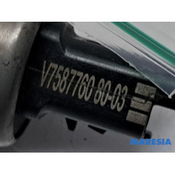 Citroen - Berlingo - Nokkenas Sensor