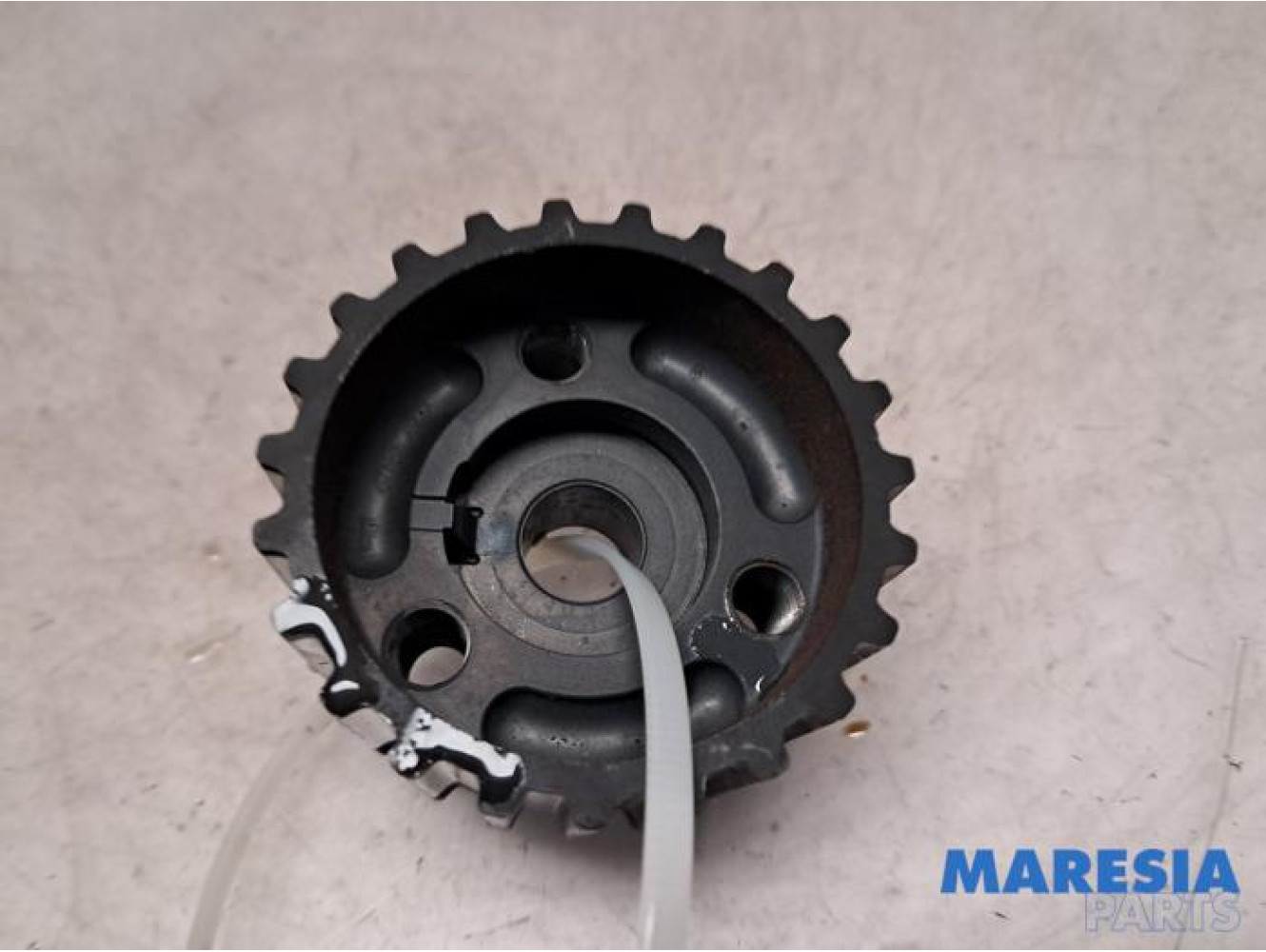 Fiat - 500 - Crankshaft sprocket