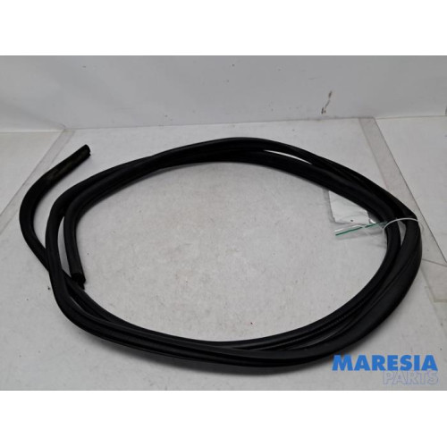 Renault - Trafic - Door seal 2-door, left