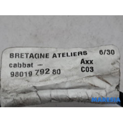 Citroen - C3 - Battery sensor