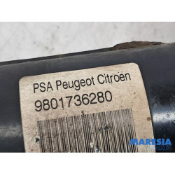 Citroen - C3 - Front shock absorber rod, left