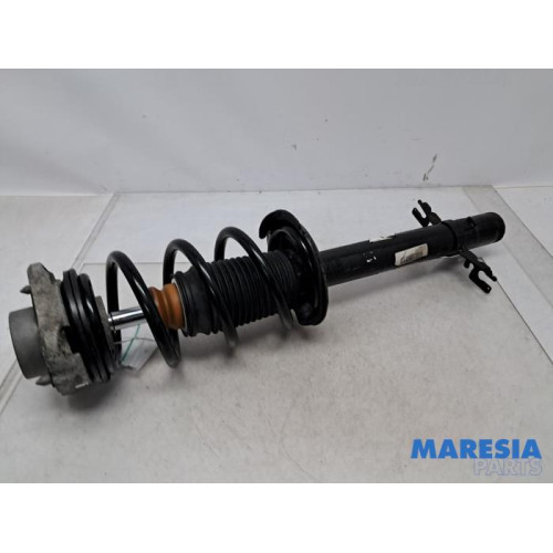Citroen - Jumper - Front shock absorber rod, left