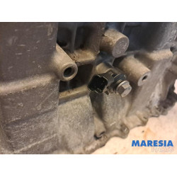 Citroen - DS3 - Engine crankcase