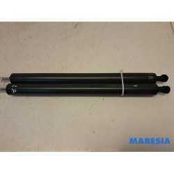 Citroen - Berlingo - Set of tailgate gas struts